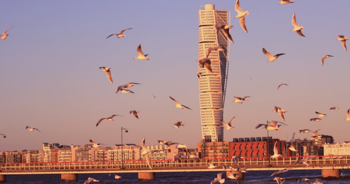 bam utbildning i malmö