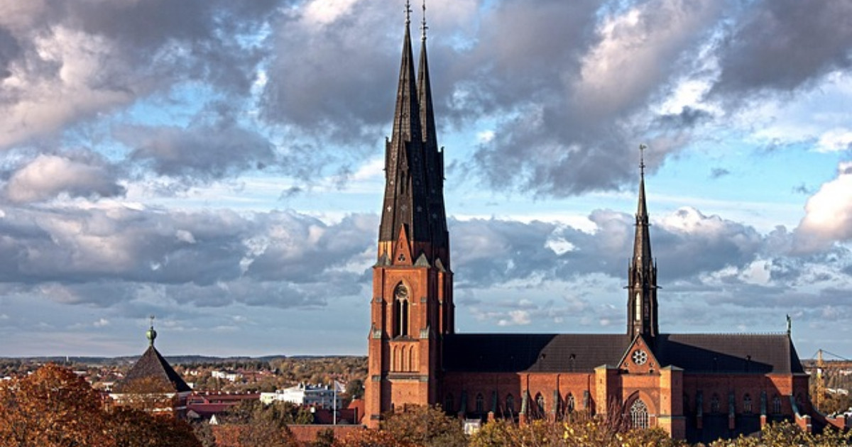 bam utbildning i uppsala