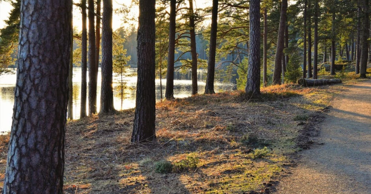 arbetsmiljöutbildning Södertälje