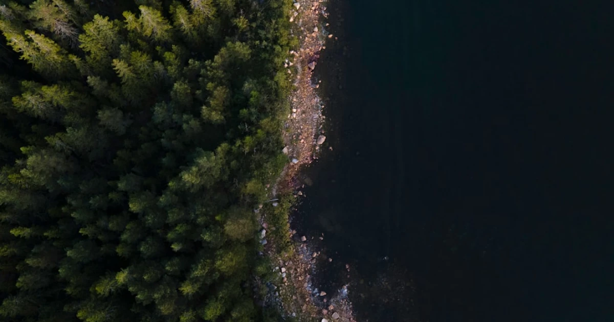 bam utbildning Hudiksvall