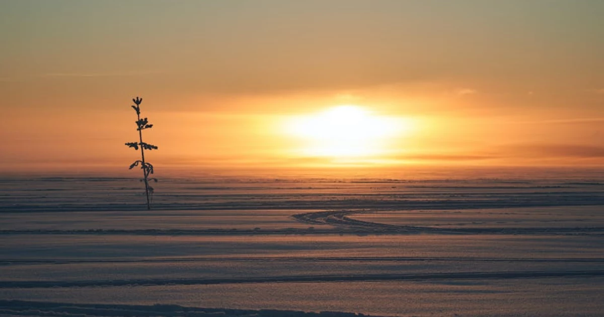 bam utbildning Luleå