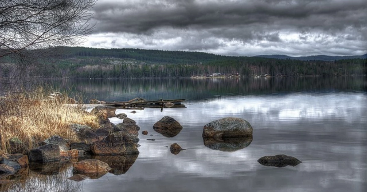 bam utbildning falun